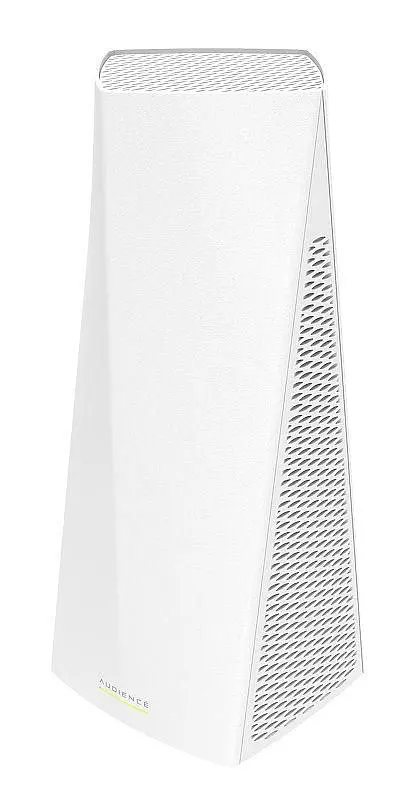 Audience with RouterOS L4 Lic.